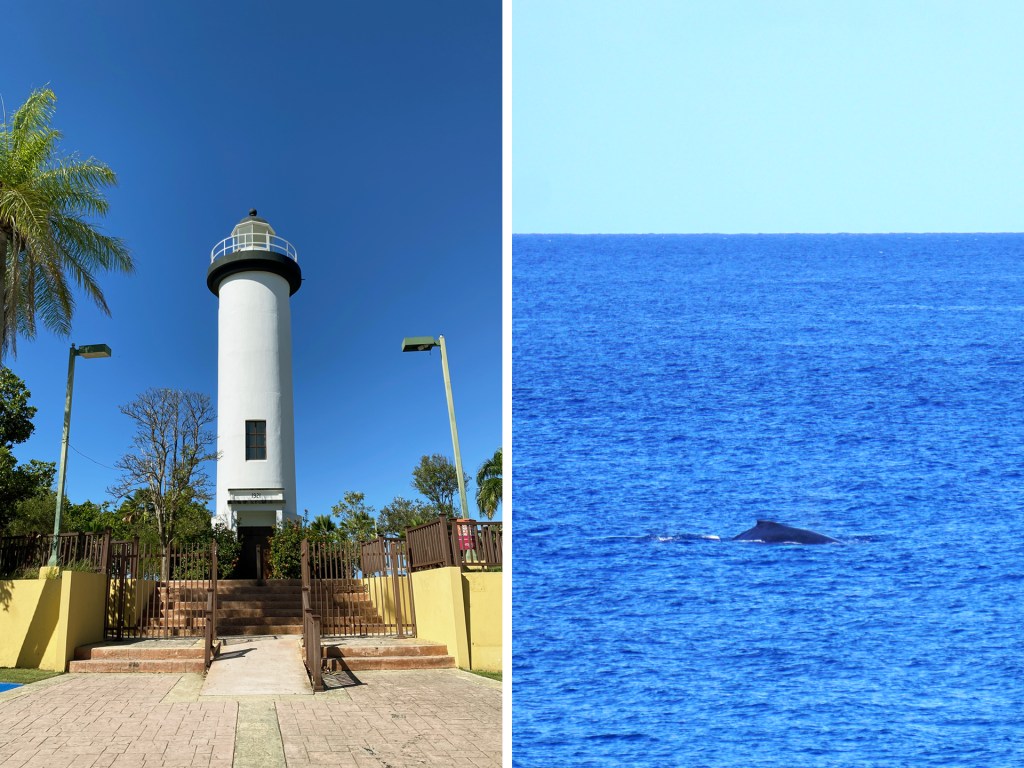 The El Faro Lighthouse in Rincon, Puerto Rico, and a whale fin in the ocean, seen from the lighthouse.