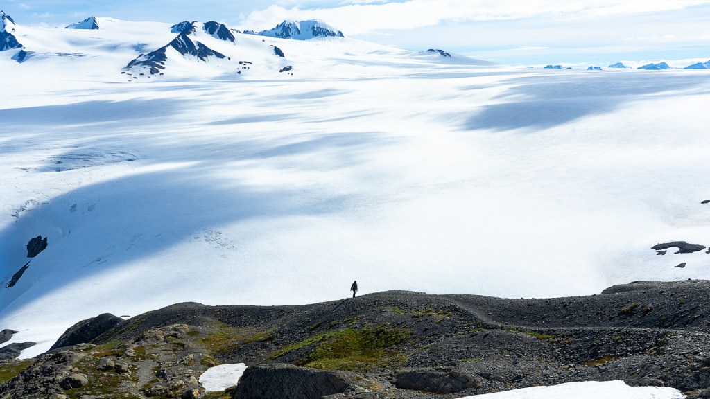 A person who appears to be tiny, standing in front of a massive icefield in Alaska.