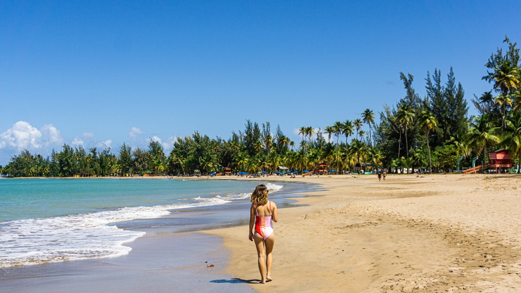 A woman walking along a beach in Puerto Rico with bright, blue water and lined with green palm trees.
