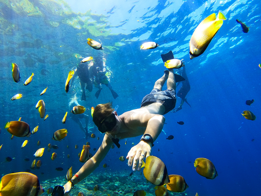 Snorkeling with the Manta Rays in Nusa Penida, a small island off of Bali, Indonesia. A man below the surface of the water surrounded by yellow and black fish.