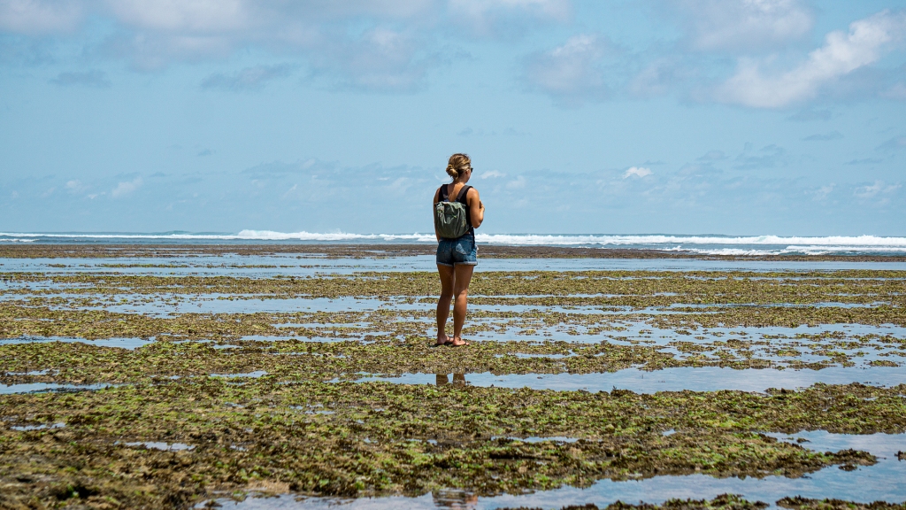 A woman standing on a rocky shore of a beach looking at the tide pools during low tide.