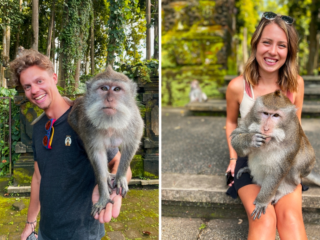 A man and a woman each holding a monkey that is looking at the camera.