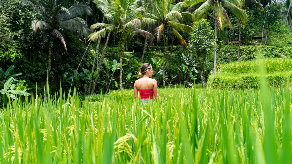 A young woman standing in the middle of a rice field in Ubud, Bali.