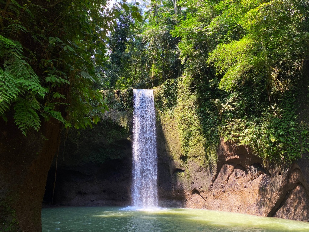 A tall waterfall in the jungle of Ubud, Bali.