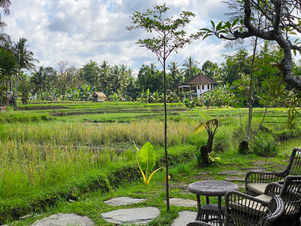 A yoga studio in the middle of rice fields in Bali.