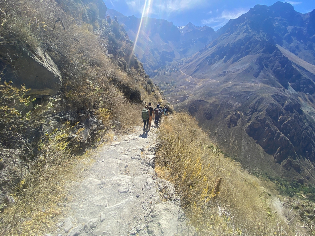 A group of people following a trail into a canyon in Colca Canyon, Peru.