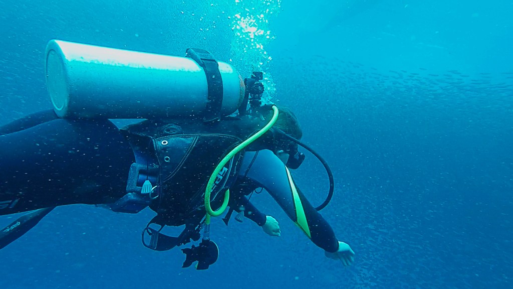 A woman scuba diving into a large school of sardines in Moalboal, Philippines.