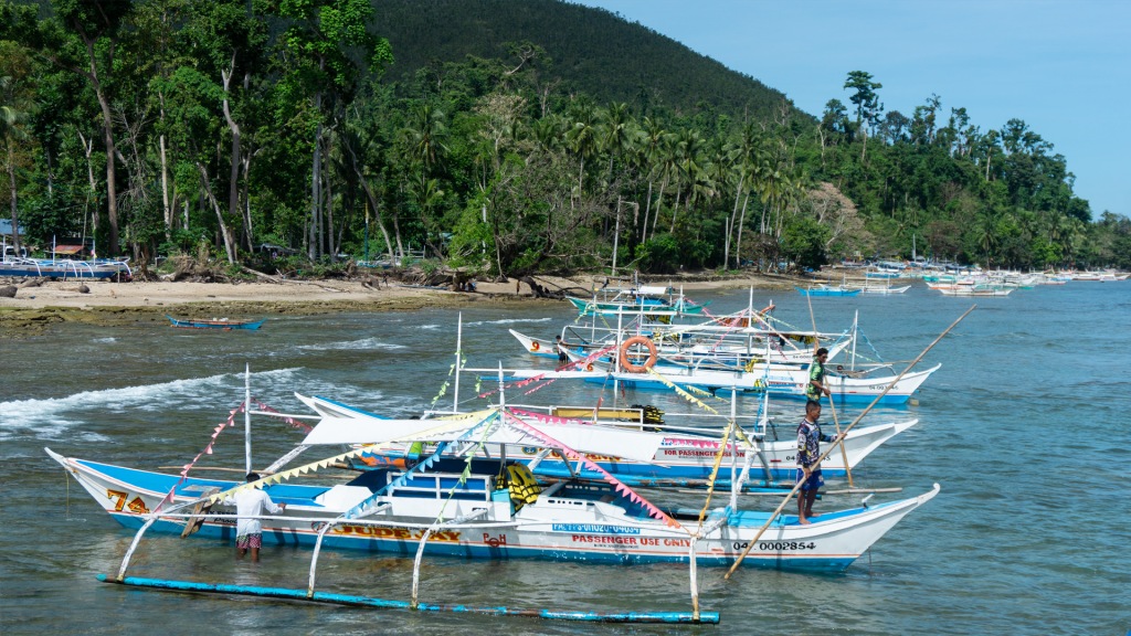 A line of boats along the shore at the Puerto Princesa Subterranean River National Park in the Philippines.