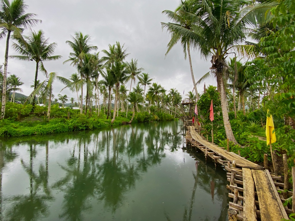 A green river lined with palm trees and a wooden boardwalk in SIargao, Philippines.
