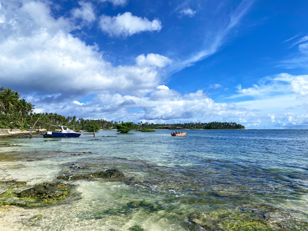 A beach in Siargao, Philippines, lined with green palm trees.