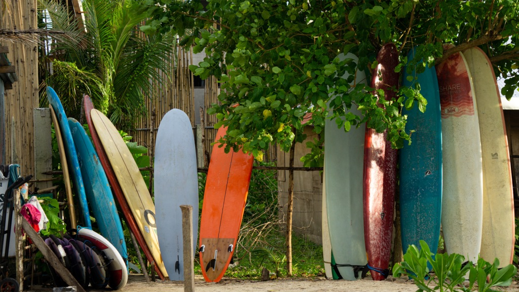 Many surfboards lined up along a bamboo fence in Siargao, Philippines.