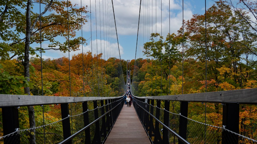 The Sky Bridge at Boyne Mountain in Michigan.